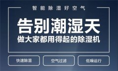 江蘇工業(yè)除濕機(jī)企業(yè)