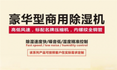 數(shù)據(jù)中心使用除濕機(jī)的重要性（二）